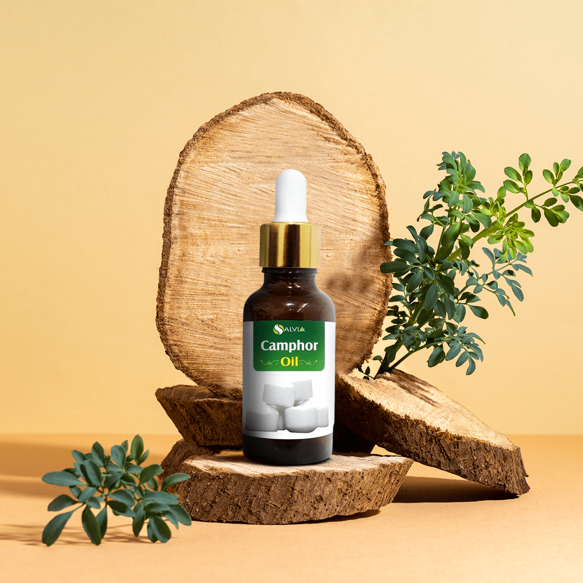 Salvia Natural Essential Oils Camphor Oil (Cinnamonutn Camphora) 100% Natural Pure Essential Oil Salvia Natural Essential Oils Camphor Oil (Cinnamonutn Camphora) 100% Natural Pure Essential Oil